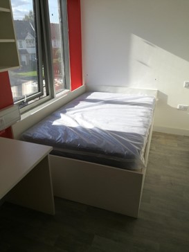 Picture40